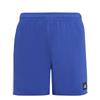 Adidas Boys Striped Swimming Shorts