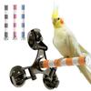 Suction Cup Bird Perch Quartz Sand Trimming Paws Triple Powerful Suction Cups Ideal Bird Window Perch for Any Smooth Surface