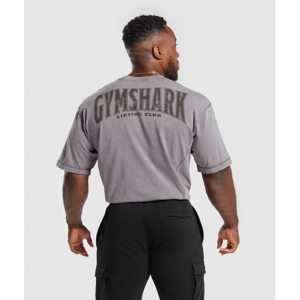 

Футболка GYMSHARK Heritage стираная, фиолетовая, A4A9H PBVT M