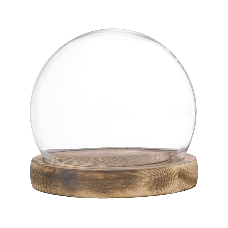 

M METERXITY crochet glass dome D3.9 Ball Jar DIY snow globe/small plants/flowers/candles/models/souvenirs Glass display case [white]
