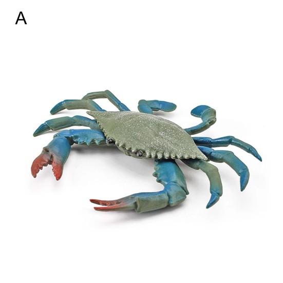Simulation Animal Model Vivid Intelligence Development Solid Aquarium Miniature Crab Cognition Education Toy for Home