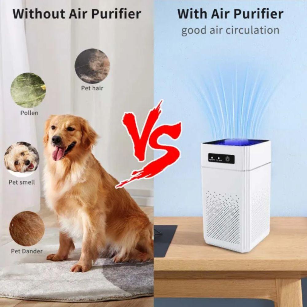 Replaceable Filter Air Purifier Negative Ion Smoke Filter USB Air Purifier  Cross-Border Compliant