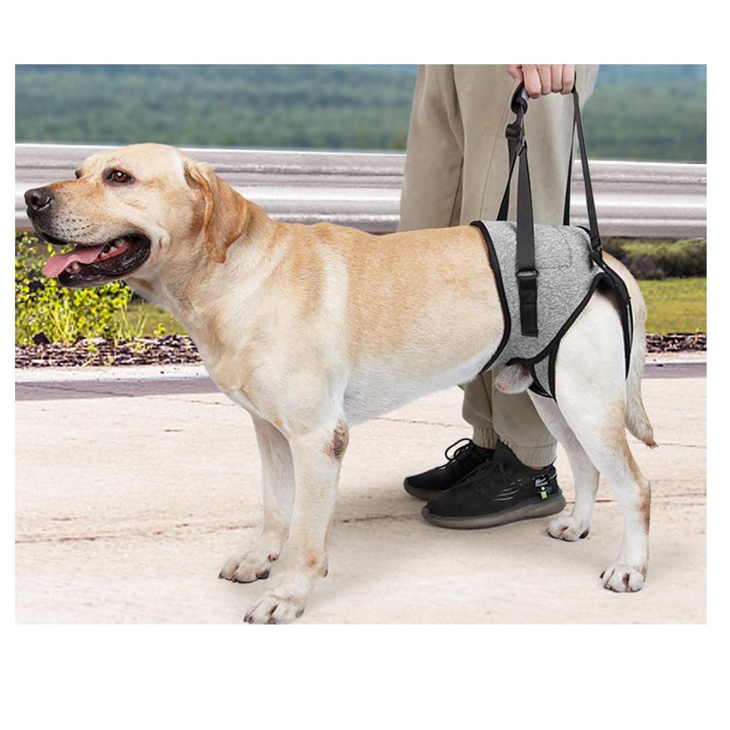Care Harness for Dog Body for Large for Large Dog Adjustable Support Pet Supplies Dogs, Harness, Harness, Dogs, Walking, Harness, Harness,