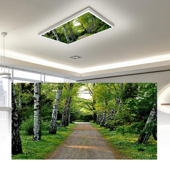 Fluorescent Light Cover with 10 Magnets Exquisite Pattern Easy Installation Fluorescent Light Filter Magnetic Ceiling Light Cover