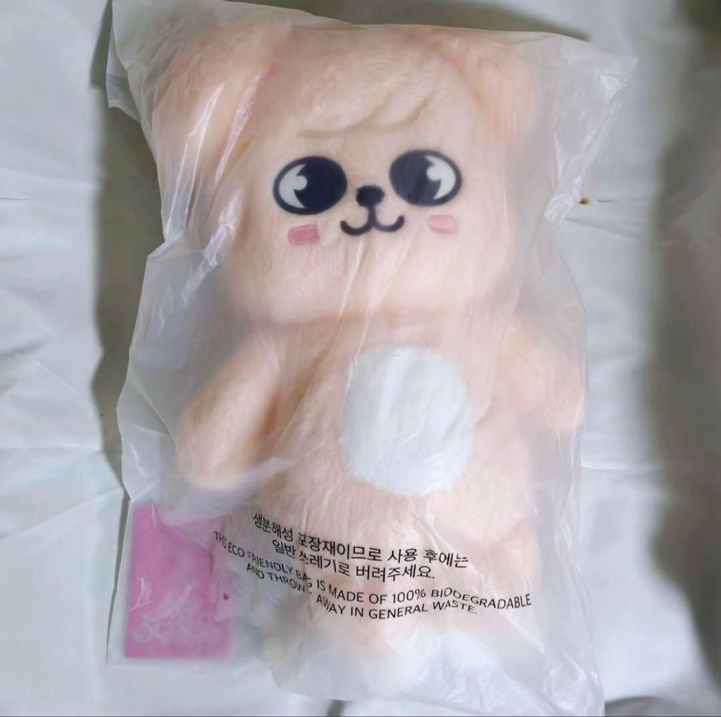 [USED] SKZ Fan Meeting Korea SKZOO Plush Teddy Bear Seungmin Puppy