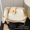 Premium sense niche bag women's summer 2025 new fashion messenger bag Korean version ins portable clip small square bag