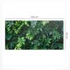 Desk Mat For Graphic Designers And Designers Tropical Leaves 100X50 Cm