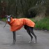 Wasserdichte Hundekleidung Haustier Hundeponcho Regenmantel Große Hunde Regenmantel Haustiere Hunde Zubehör Windjacke Kleidung Produkt Zubehör