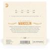 D'Addario Daddario Mandolin String Nickel Medium .011-.039 EJ67 [Domestic Genuine]