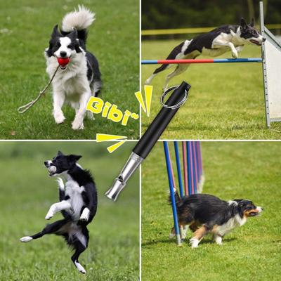 Yousheng Dog Whistle Professional Recall Dog Training Whistles with Lanyard Adjustable Ultrasonic Silent Dog Whistle To Stop Barking Neighbors Dog
