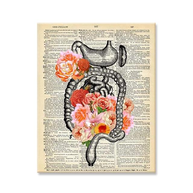 Ανθρώπινα Όργανα Τέχνη με Λουλούδια Ζωγραφική σε Καμβά Vintage Ιατρική Ανατομία Εικόνες στον Τοίχο Αφίσες Cuadros Κλινική Νοσοκομείου Διακόσμηση Τοίχου