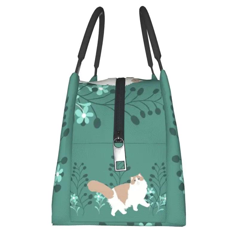 Benutzerdefinierte Elegante Ragdoll Katze Lunchtaschen Männer Frauen Warme Kühltasche Isolierte Lunchboxen für Arbeit Picknick oder Reise