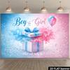 2D plane gender reveal party banner background - blue and pink gradient blending theme, indoor and outdoor theme parties
