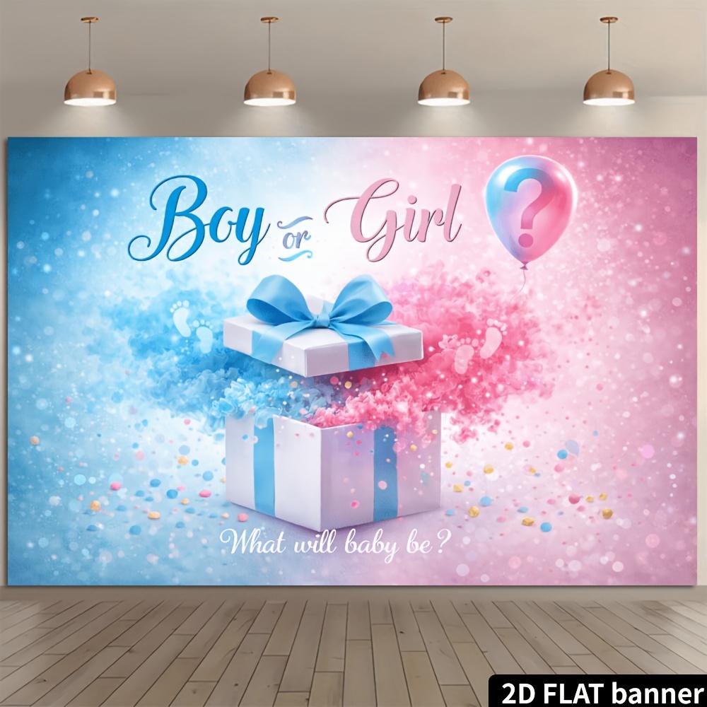 2D plane gender reveal party banner background - blue and pink gradient blending theme, indoor and outdoor theme parties