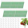 40Pcs Tomato Hooks with String Tomato Support Hooks Tomato Holder Hooks Plant Support Clips Prevent Tomatoes Pinching
