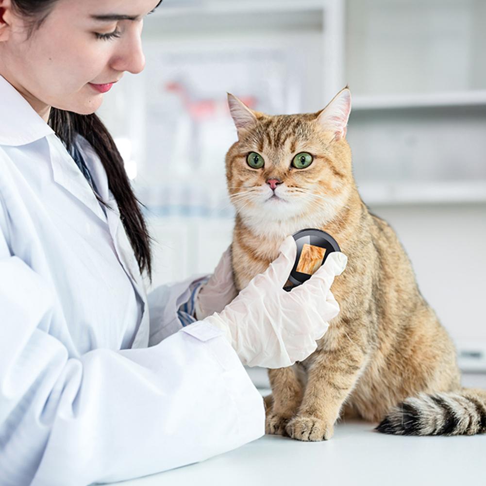 500X Magnification Digital Microscope with 8 LED Portable Handheld Microscope HD Electronic Autofocus Magnifier for Home Office