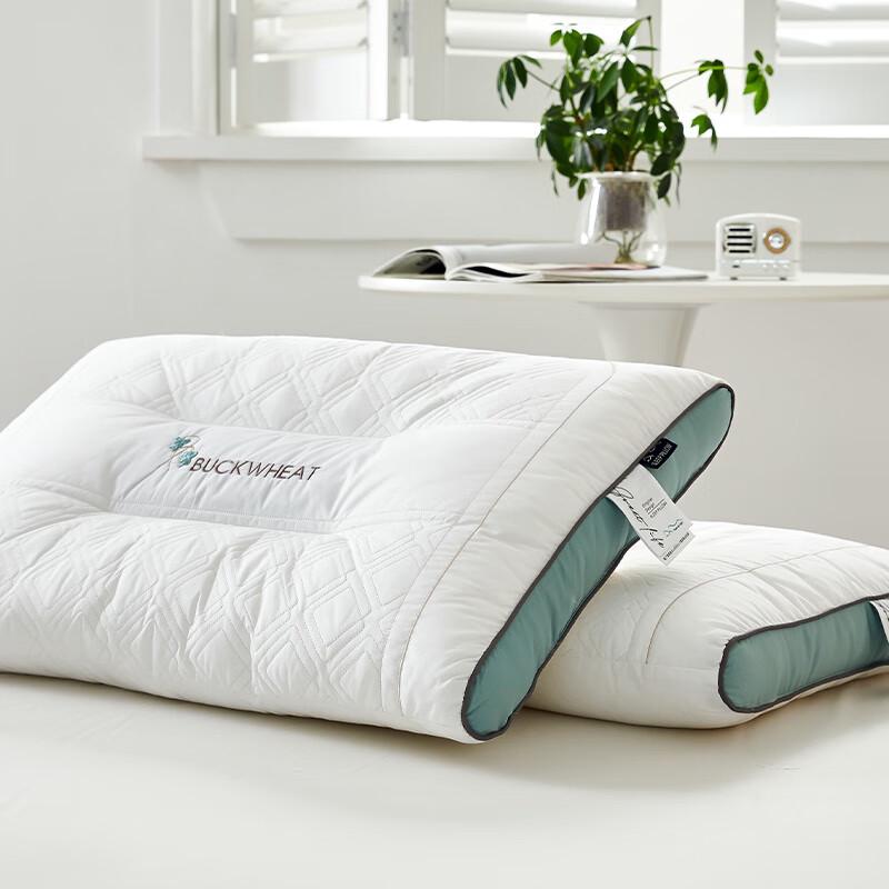 Woody Woodpecker Buckwheat Sleep Aid Pillow