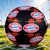 1 pz Pallone da Calcio Bayern Monaco Stemma Taglia Standard 5, Pallone da Calcio Resistente per Allenamento a Scuola Parco & Intrattenimento Quotidiano zq71415