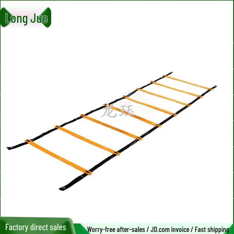 Agility Training Ladder