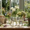 Transparent Glass Vase Triple Connected Flower Holder Plant Terrarium Minimalist Floral Bottle Tabletop Plant Vase