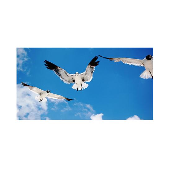 

Абажур с освежающим принтом природы, потолочные светильники, магнитный свет, флуоресцентные световые фильтры, домашний офис, декор потолочной лампы E