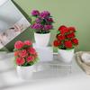 Flower Pot Plastic With Twelve Ball Chrysanthemum For Indoor Decoration