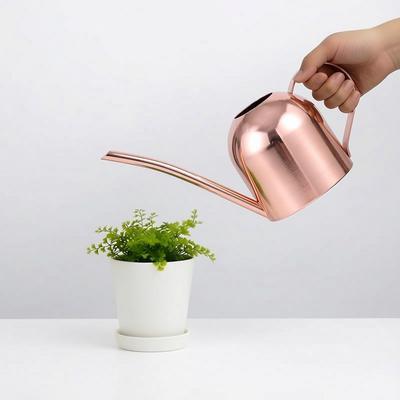 Rose Gold Stainless Steel Watering Can with Spout, Retro Style, 1000ML for Succulents and Green Plants