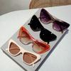 Vintage Cat Eye Women Sun Glasses Trendy Retro Brand Designer Shades  New Fashion High Quality Outdoor Eyewear