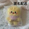 Used SKZOO Pogari 5-CLOCK Plush Toy