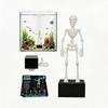 Dynamic Skeleton Figurine, Halloween Fishtanks Ornament with Glowing Design, Aquarium Display Decors for Seasonal Scene Landscape