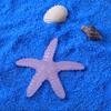 Luminous Starfish Resin Jewelry Accessories - DIY Handmade Materials