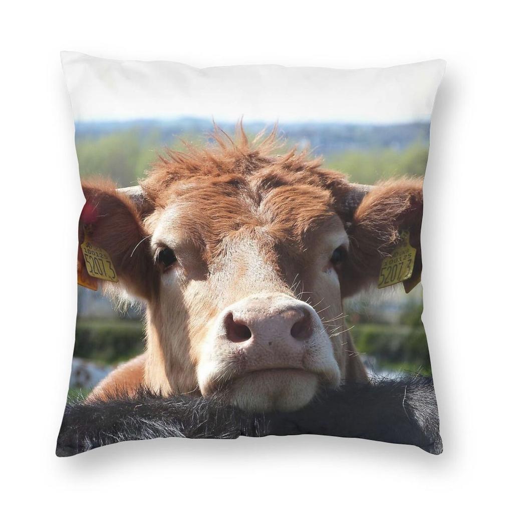 Federa per Cuscino Mucca Chin Up Poliestere Lino Velluto Fantasia Cerniera Decorata Federa Cuscino Copricuscino per Stanza