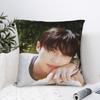 Byeon Woo Seok Pillow Cover  Square Cushion Cover Funny Pillow Case For Couch Sofa Bedroom