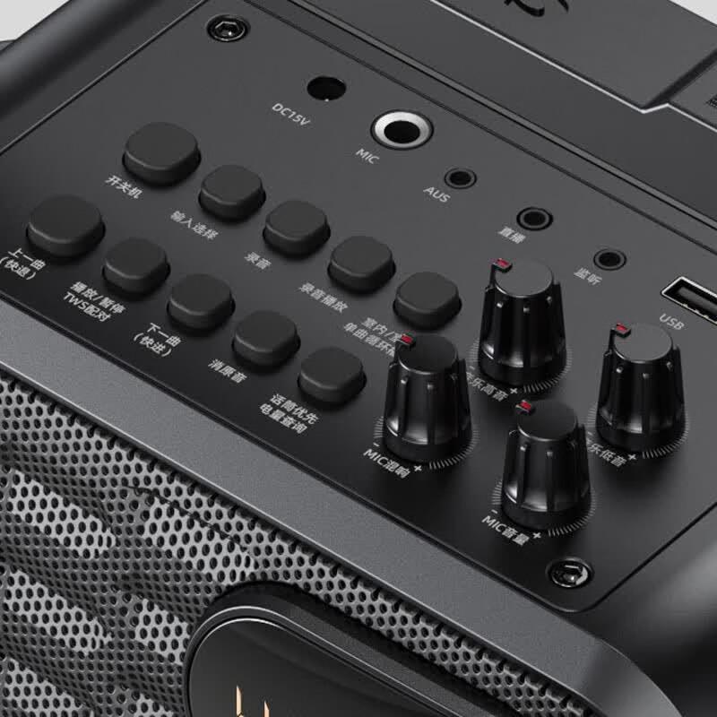 Philips SD60 Portable Bluetooth Karaoke Speaker (CN version)