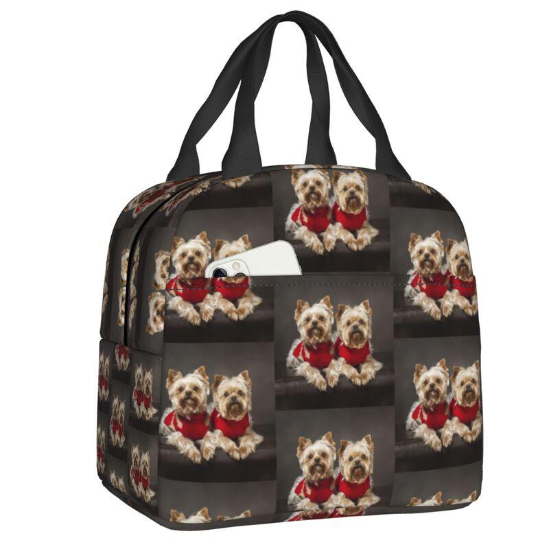Yorkshire Terrier Dog Resuable Lunch Boxes for Women Waterproof Yorkie Lover Thermal Cooler Food Insulated Lunch Bag Office Work