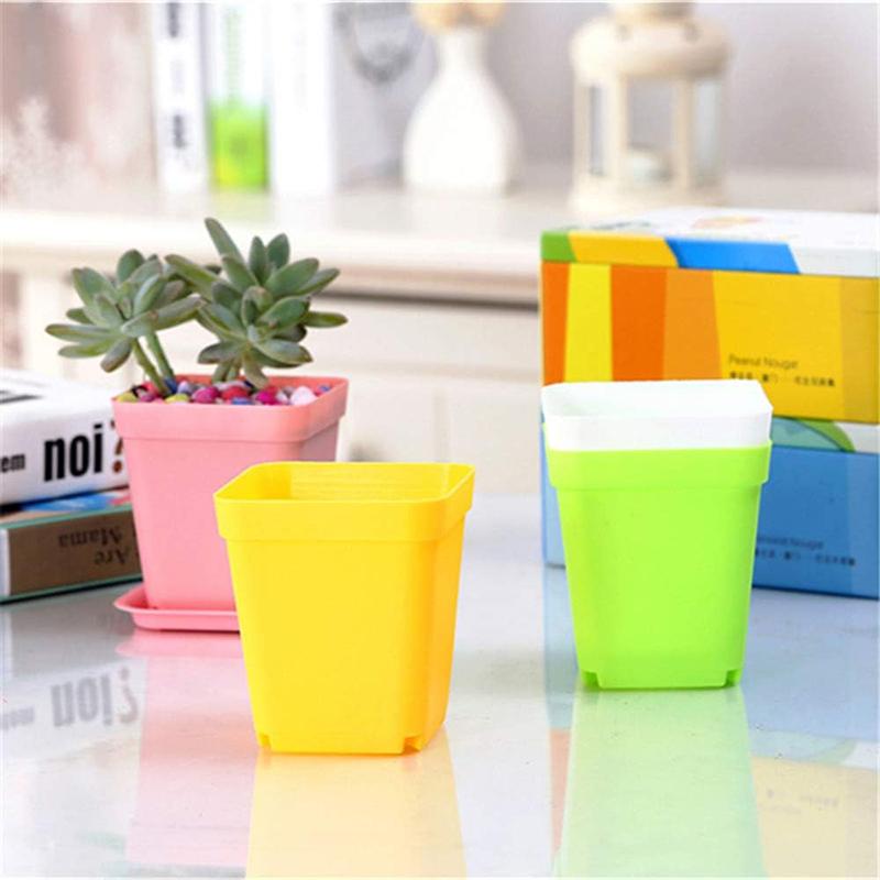 6/12/24pcs Mini Square Pot Flower Pot Succulent Pot Seven Colors Little Black Square Plastic Pot Seedling Tray Gardening TMZ