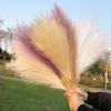 50cm Artificial Grass Dried Branches Stems Faux Bulrush Reed Flower for Vase