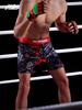 AN Nowe Uniseks Odporne na Rozdarcia Spodenki Treningowe MMA Jiu-Jitsu – Mikroelastyczne Spodnie do Walki