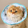 Pet Elizabethan Anti-Lick Collar for Cats & Dogs - Postoperative Neck Protection