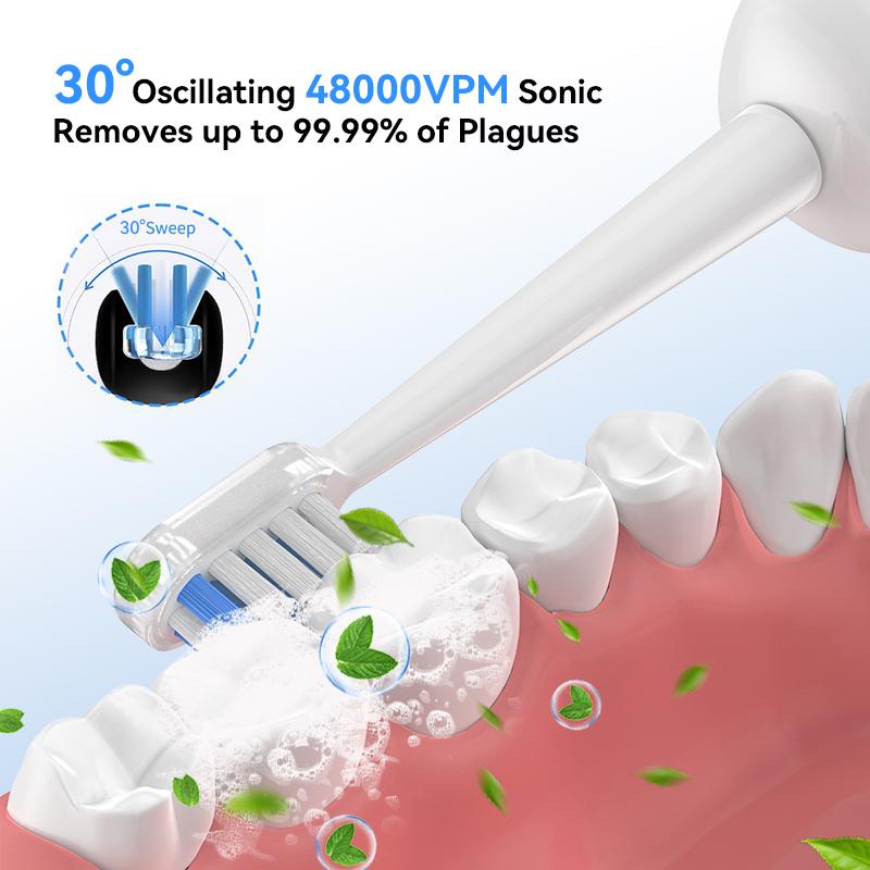C11 Electric Toothbrush Sonic Sweeping Toothbrush 30 Scientific Swing 1 Brush Handle 2 Brush Head