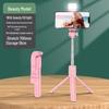 Bluetooth Selfie Stick with Detachable Beauty Light and Umbrella-Style Floor Tripod