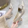 Women's Gentle High Heels Spring 2025 New Design Temperament Thick Heel Pointed Not Tired Feet Single Shoes Women's Summer