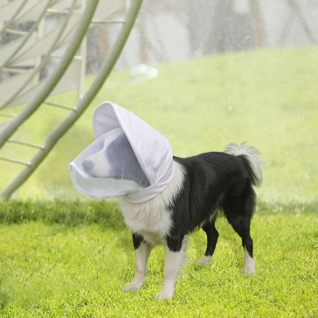 Hundekopfschutz Atmungsaktiv Praktisch Gesichtsschutz für Abenteuer Outdoor-Sportarten Bergsteigen