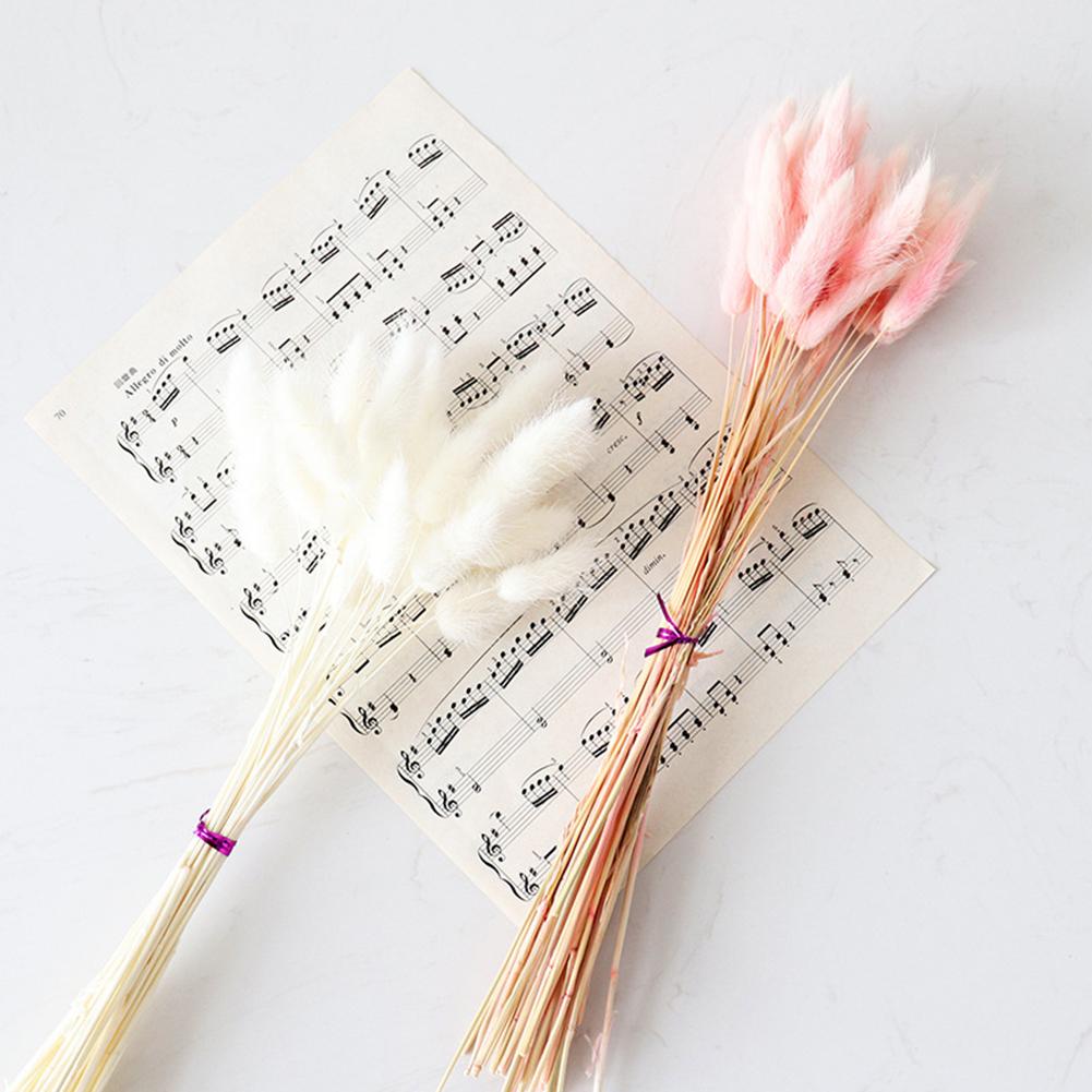 30 ks Barevné Králičí Ocasy Sušené Květiny Literární Styl Květinová Aranžmá Přírodní Kytice Králičích Ocasů Pro Večírek Domácí Dekoraci