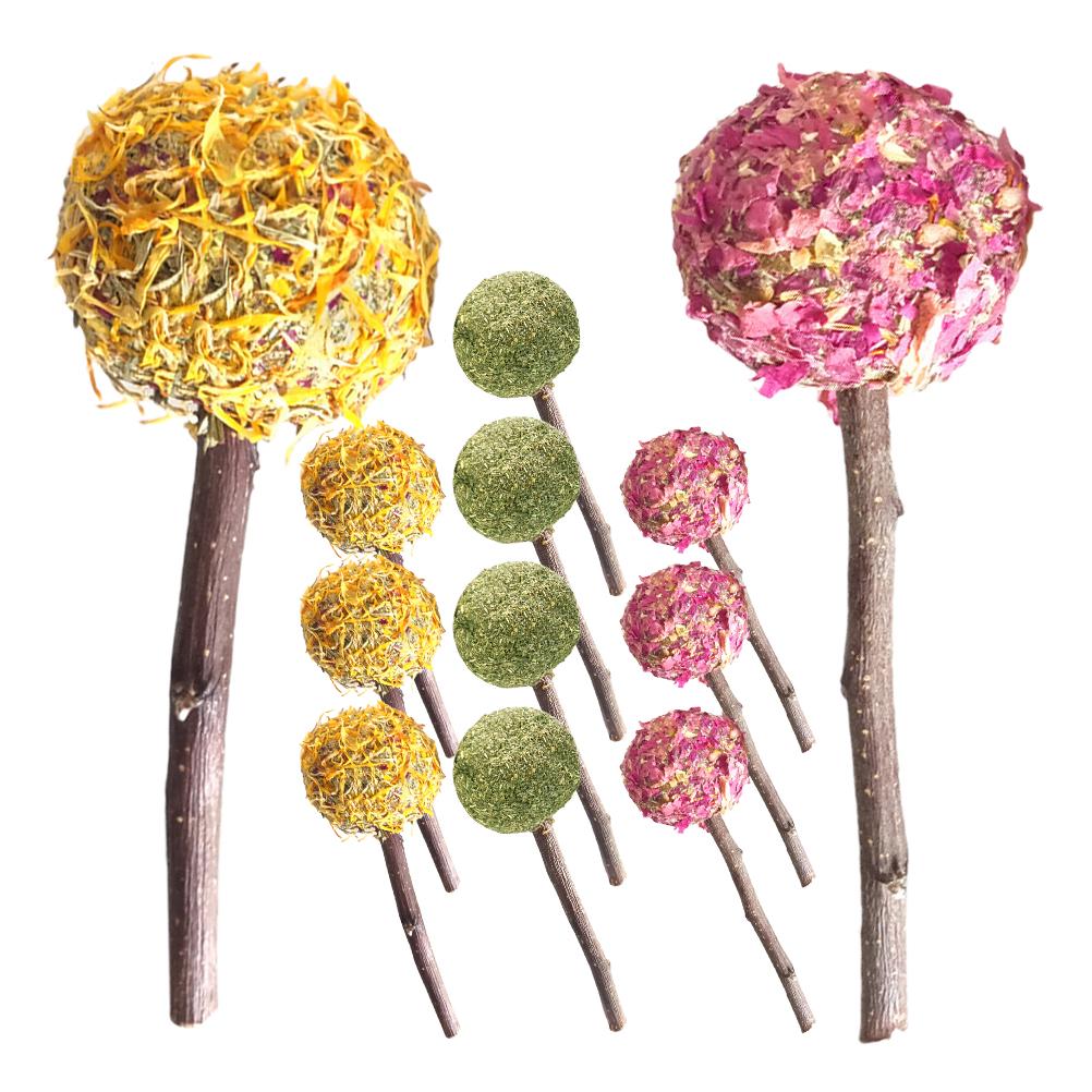 12 Pcs Lollipop Pet Rabbit Snacks Guinea Pig Toys Hamster Chewing Sticks Plant Bunny Molar Animals Biting Playthings