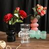 Mid-Century Light Luxury Glass Vase for Hydroponic Floral Arrangements