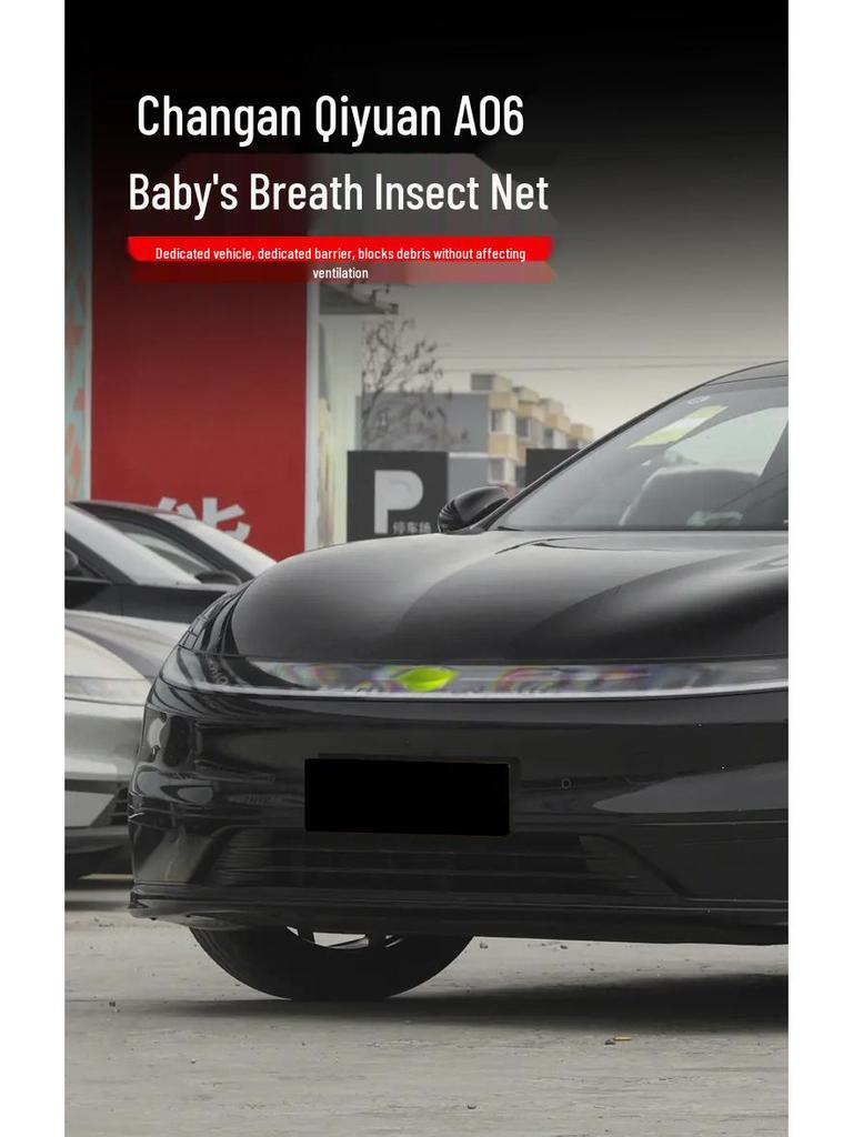Changan Qiyuan A06 Radiator Anti-Insect Net for 26 Models