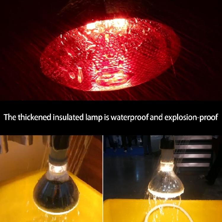 2pcs 250W Heat Lamp Red Light for Piglets Baby Chicken and Small Animals with E26 Base