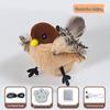 Remote Control Electric Sparrow Cat Toy - Interactive Self-Play Wings Simulator for Cats