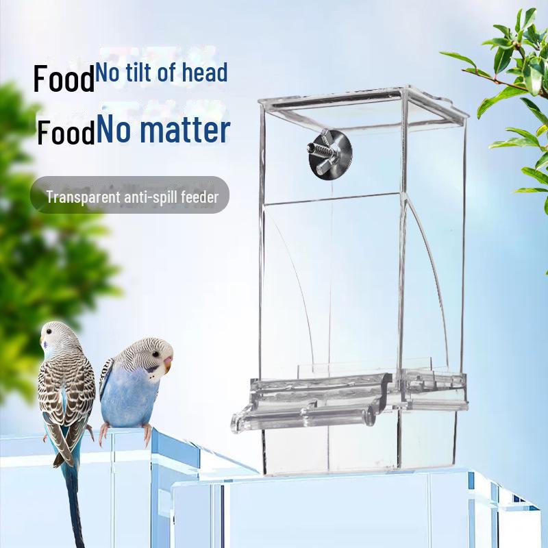 Transparent Automatic Parrot Feeder and Food Bowl for Birds